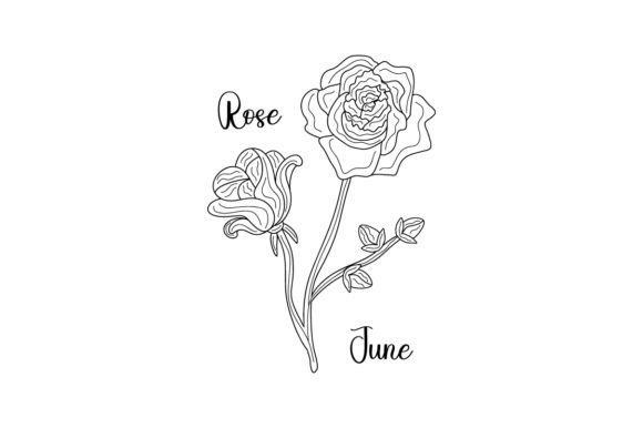 Birth Month Flowers - June - Rose
